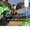 user5059232479486