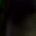 8iyb0