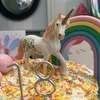 thespectrumunicorn