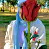 user7313753072631