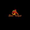 star_target_00