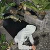 vinz_anak_muda