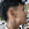 dollen236