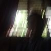 smmm_official