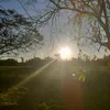 robleisvibes0