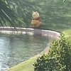 unowaaa000