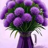 user5281716179202