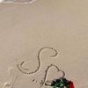 shima.mohamed746