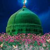 zakir.hussain8870