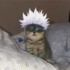 rngs0ls