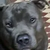 sergio.vieira692