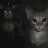 kittyyuhhw