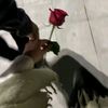 ..ms_7