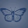 larissarenatavice