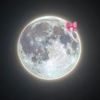 Moon 🌙