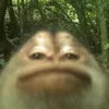 bananamonkey1876