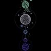 fireflies14