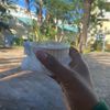 sanelisiwemakubalo