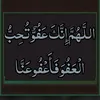 yasmine.yasmine7629
