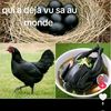 kouassikouakoudeb