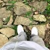 us779290772