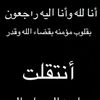 mryl.mryl28