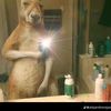 styn_k