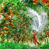 motivationgarden2