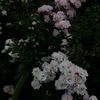 phonsamai.phon