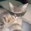 romy.rolls