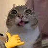 sokumidu_33