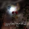 user3167085753227