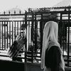 ell_415