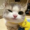 sukamatchaaa0811