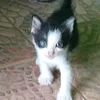arein.8