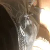 elainetjeeeeeeee2