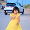 amer.sdah1