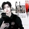 sybausnghun