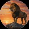 seifu.sarbo