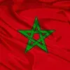 salmaamir8387