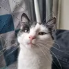 itskitsynn