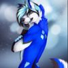 wolfpackalpha79