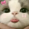 kimitokieyow