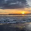 charlotte_eggeri1