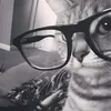 arzy_official_0.1