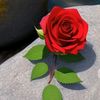 user7837408585299