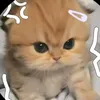 minh.anh7464