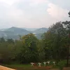 rvrbbrbrbrbrbrbrr