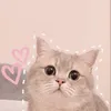 nhotaolao19