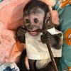 Princess Lucia🐒